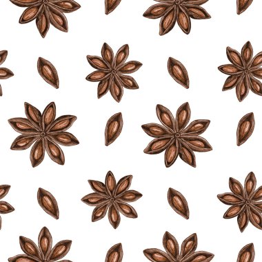 Gerçekçi yıldız anason deseni. Renkli kalem çizimi. Beyaz arka plandaki tüm baharatlar. Baharatlar ve mevsimler. Broşür, poster, duvar kağıdı, ağ, davetiye, kart, menü