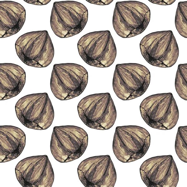 Kusursuz desen, beyaz arka planda izole edilmiş kurşun kalemle çizilmiş resim. Gerçekçi fındık. Broşür, poster, duvar kağıdı, ağ, davetiye, tebrik kartı, menü.