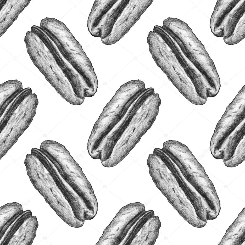 Seamless pattern, illustration drawn in pencil on a white background isolated. Realistic pecans. Illustration for flyer, poster, wallpaper, web, invitation, greeting card, menu.