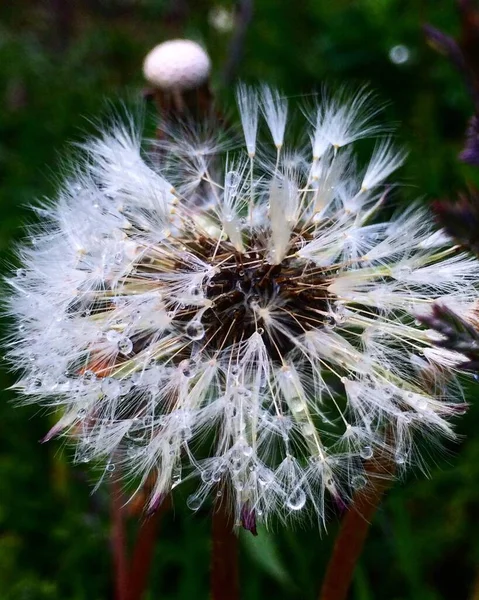 Der Herbst Ist Eine Wunderbare Zeit Des Jahres — Stockfoto