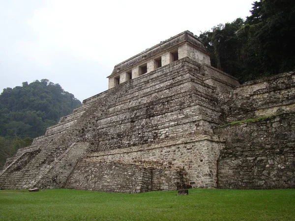 México Palenque Floresta — Fotografia de Stock