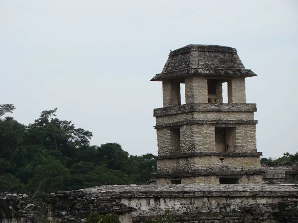 México Palenque Floresta — Fotografia de Stock