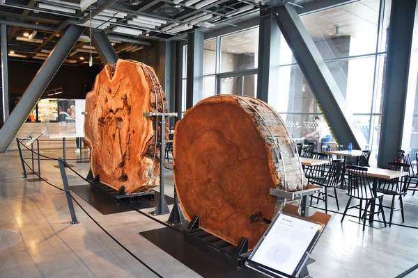 Varşova, Polonya-Temmuz 14, 2018: Büyük bilim merkezi. Etkileşimli Çocuk Müzesi geliştirme.