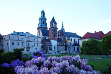 Polonya, Krakow 11 Mayıs 2018: Royal Wawel Gotik Castle. Ünlü tarihi anıt mimari.
