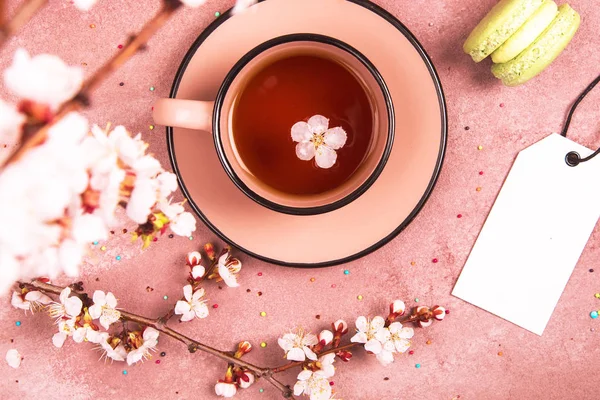 Cup Tea Spring Decoration View Place Text — Stock Photo, Image