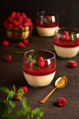 Panna cotta koyu bir arka plan üzerinde ahududu ile. Natürmort