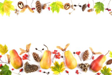 Beyaz arka planda sonbahar kompozisyonu. Kurumuş yapraklar ve diğer doğal maddelerden yapılmış çerçeve. Düz konum, üst görünüm, kopyalama alanı