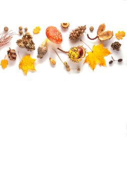 Beyaz arka planda sonbahar kompozisyonu. Kurumuş yapraklar ve diğer doğal maddelerden yapılmış çerçeve. Düz konum, üst görünüm, kopyalama alanı