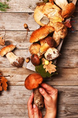 Sonbahar hala hayattır. Ahşap bir arka planda mantarlı ve yapraklı kompozisyon