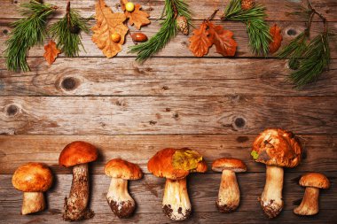 Sonbahar hala hayattır. Ahşap bir arka planda mantarlı ve yapraklı kompozisyon