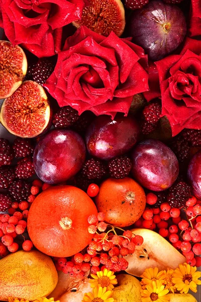 가을의 배경에는 배경에 색깔의 과일과 꽃들이 아직도 원문을 — 스톡 사진