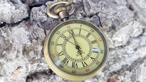 Time Lapse of Pocket Clock. Sei ore di orologio tascabile — Video Stock