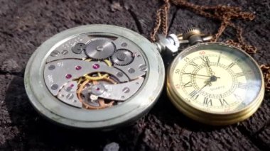 İki Geleneksel İzle Eylem