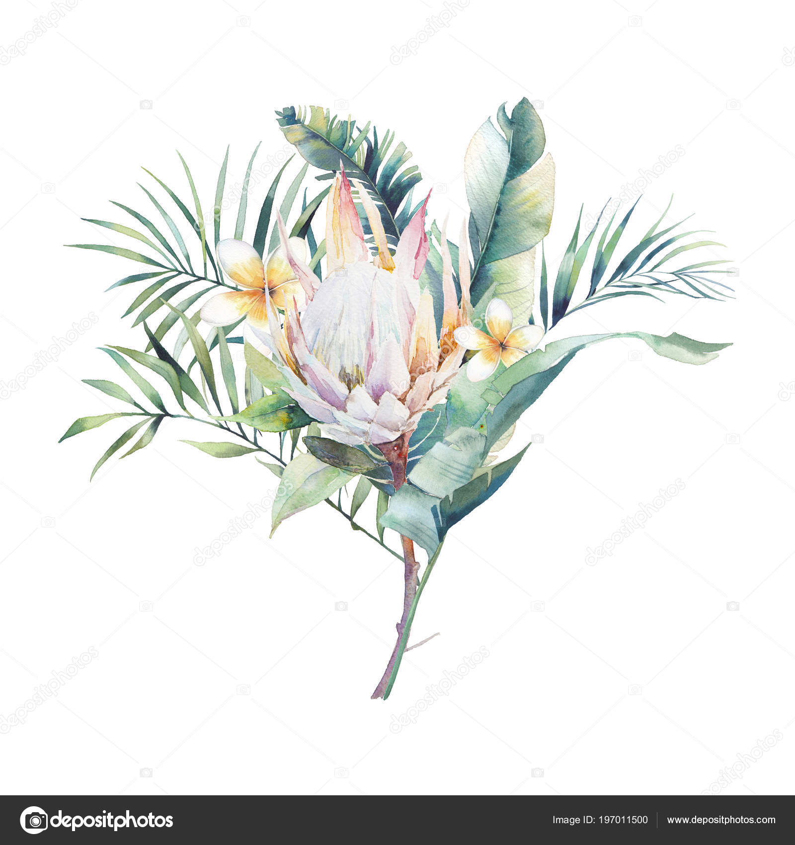 Bouquet Plantes Exotiques Aquarelle Main Dessinée Dessin