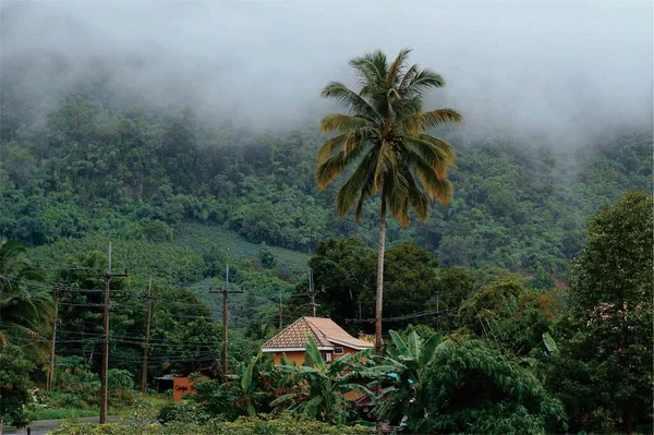 Manhã Cedo Minha Casa Nevoeiro Esconde Para Que Montanhas Não — Fotografia de Stock