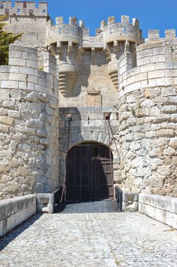 13. ve 15. yüzyıllar arasında inşa edilen Gotik şato Ampudia köyünde (Palencia, Kastilya ve Leon, İspanya) bulunmaktadır. 1931 'de ulusal bir anıt ilan edildi..