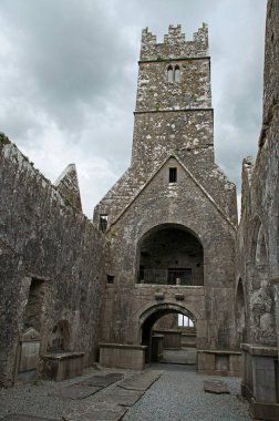 Ross Errilly 'nin Harabeleri Friary Manastırı Galway Kont, İrlanda