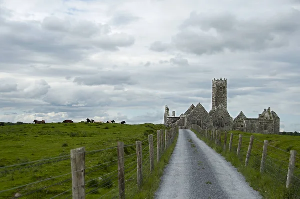 Ruins Ross Errilly Friary Convent Galway Count Ireland — Stock Photo, Image