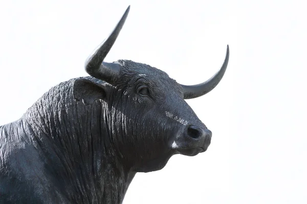 Bull Staty Mot Vit Bakgrund Med Kopia Utrymme — Stockfoto