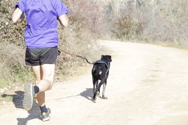 Köpek ve insan popüler bir kanikros rac 'ına katılıyor.