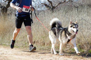 Köpek ve insan popüler bir kanikros rac 'ına katılıyor.