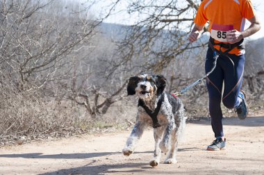 Köpek ve insan popüler bir kanikros rac 'ına katılıyor.
