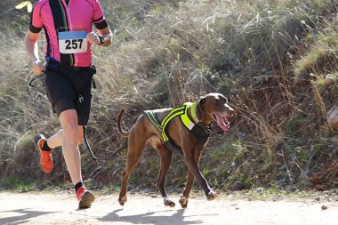 Köpek ve insan popüler bir kanikros rac 'ına katılıyor.