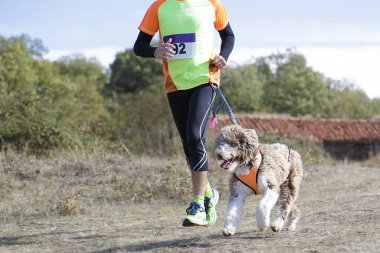 Köpek ve insan popüler bir kanikros yarışına katılıyor.