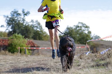 Köpek ve insan popüler bir kanikros yarışına katılıyor.