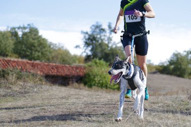 Köpek ve kadın popüler bir kanikros yarışına katılıyor.