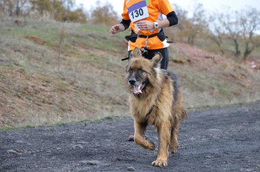 Köpek ve sahibi popüler bir kanikros yarışına katılıyorlar.