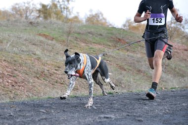Köpek ve sahibi popüler bir kanikros yarışına katılıyorlar.