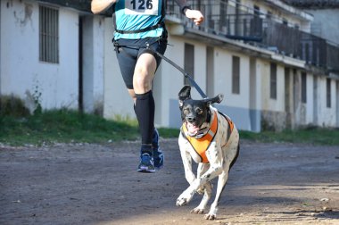 Köpek ve sahibi popüler bir kanikros yarışına katılıyorlar.