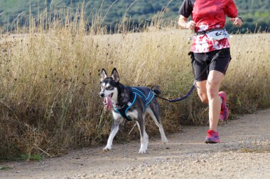 Köpek ve kadın popüler bir kanikros yarışına katılıyor.