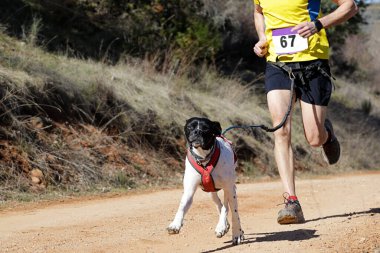 Köpek ve insan popüler bir kanikros yarışına katılıyor.
