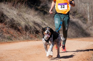 Köpek ve insan popüler bir kanikros yarışına katılıyor.