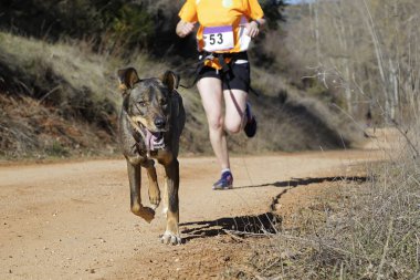 Köpek ve kadın popüler bir kanikros yarışına katılıyor.