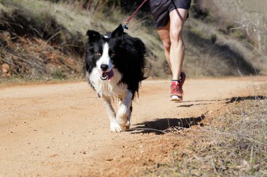 Köpek ve insan popüler bir kanikros yarışına katılıyor.