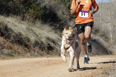Köpek ve insan popüler bir kanikros yarışına katılıyor.
