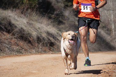 Köpek ve insan popüler bir kanikros yarışına katılıyor.