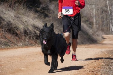 Köpek ve insan popüler bir kanikros yarışına katılıyor.