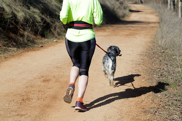 Dog and woman taking part in a popular canicross race