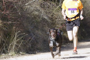 Köpek ve insan popüler bir kanikros yarışına katılıyor.