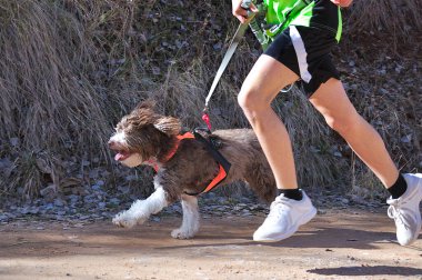 Köpek ve bir çocuk çocuklar için popüler bir kanikros yarışına katılıyorlar.