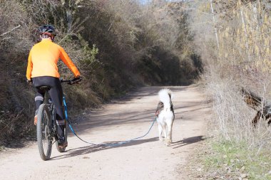 Köpek ve insan popüler bir kanikros yarışına katılıyor.