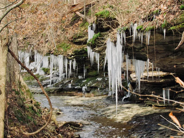                               Tennessee 'de Donmuş Nehir
