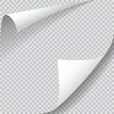 Boş, vektör çizim iki kağıt köşelerinde