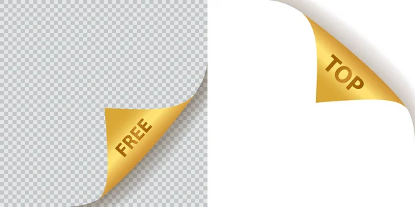 無料とトップのテキストと金色の紙のコーナー ベクトルイラスト — ストックベクタ
