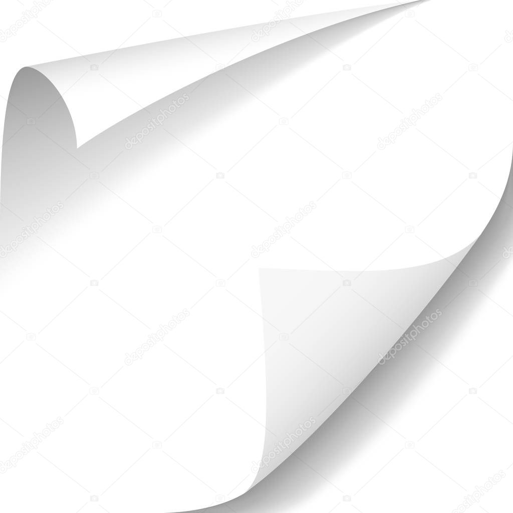 Two paper corners on blank, vector illustration