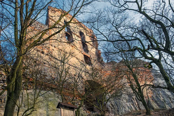 Burgruinen Pajstun Borinka Slowakei — Stockfoto